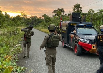 Satgas Damai Cartenz Tangkap Komandan Operasi KKB di Yahukimo