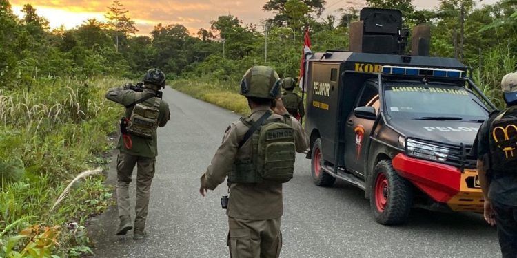 Satgas Damai Cartenz Tangkap Komandan Operasi KKB di Yahukimo