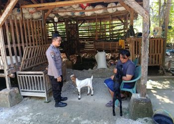 Polri Dukung Ketahanan Pangan Melalui Pendampingan Peternak Kambing di Sumenep