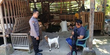 Polri Dukung Ketahanan Pangan Melalui Pendampingan Peternak Kambing di Sumenep