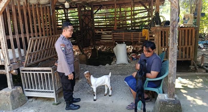 Polri Dukung Ketahanan Pangan Melalui Pendampingan Peternak Kambing di Sumenep