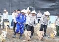 Polri Dorong Ketahanan Pangan, Wakapolda Sumsel Tinjau Kebun Jagung di Lubuk Linggau