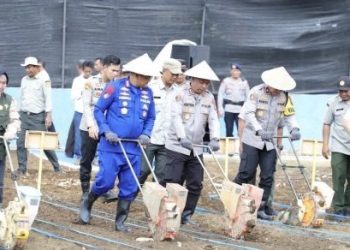 Polri Dorong Ketahanan Pangan, Wakapolda Sumsel Tinjau Kebun Jagung di Lubuk Linggau