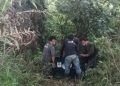 BKSDA Aceh Selamatkan Orang Utan Terisolir di Aceh Tamiang