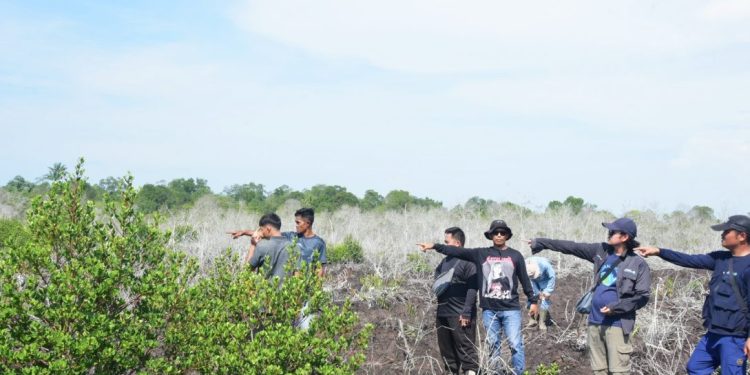 Restorasi Mangrove di Bengkalis Capai 50 Persen, Harapan Pesisir Meningkat
