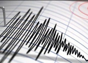 Gempa Magnitudo 5.3 Guncang Supiori, Papua