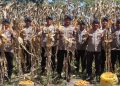 Brimob Polda Gorontalo Panen 5 Ton Jagung, Dukung Ketahanan Pangan