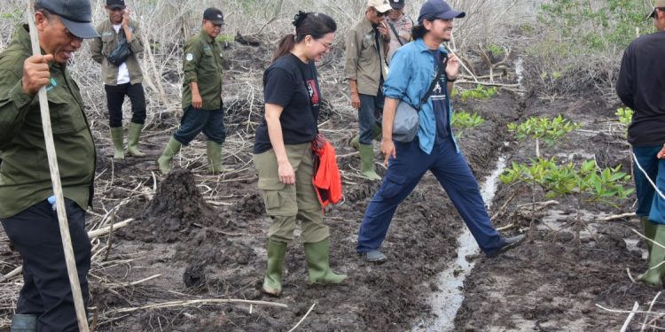YKAN Pantau Progres Restorasi Mangrove di Desa Teluk Pambang