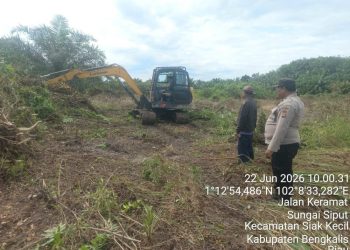 Polsek Siak Kecil Dukung Ketahanan Pangan dengan Lahan Jagung 4 Hektare