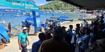 Ekonomi Gorontalo Tumbuh Rp177,6 Juta Berkat Wisata Hiu Paus Selama PENAS XVII