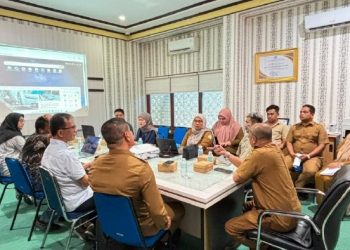 BPBA dan BNPB Tingkatkan Kerja Sama Pemetaan Risiko Bencana di Aceh