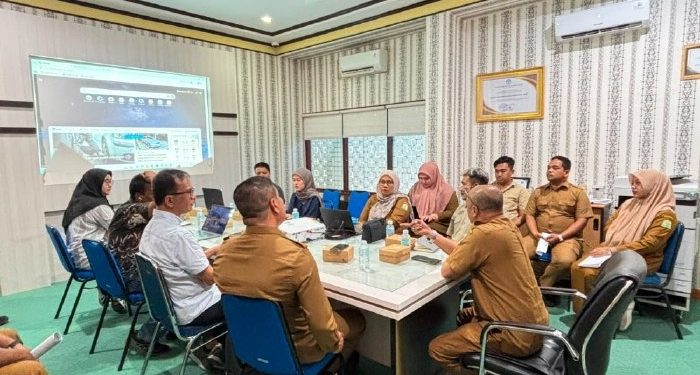 BPBA dan BNPB Tingkatkan Kerja Sama Pemetaan Risiko Bencana di Aceh