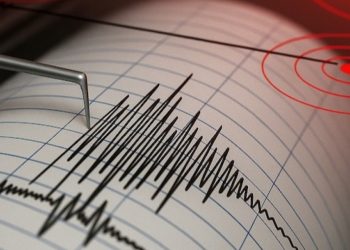 Gempa Magnitudo 3.1 Guncang Tambrauw, Papua Barat