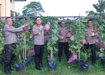 Polda Kalbar Dorong Budidaya Melon untuk Ketahanan Pangan Nasional