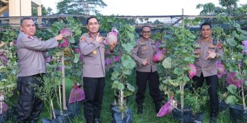 Polda Kalbar Dorong Budidaya Melon untuk Ketahanan Pangan Nasional