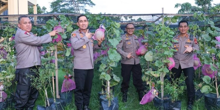 Polda Kalbar Dorong Budidaya Melon untuk Ketahanan Pangan Nasional