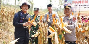 Polda Jateng Gelar Panen Raya Jagung di Kendal untuk Dukung Ketahanan Pangan