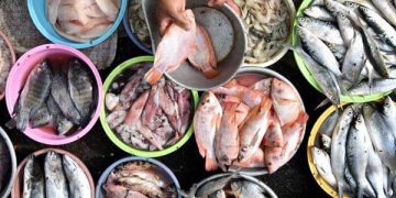 Pakar UGM Ungkap Alasan Rendahnya Konsumsi Ikan di Jawa