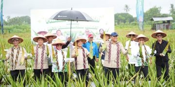 Revitalisasi Lidah Buaya di Pontianak Didorong untuk Tingkatkan Ekonomi Lokal