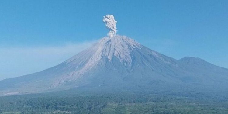 Gunung Semeru Erupsi Lagi, Ancaman Banjir Lahar Mengintai