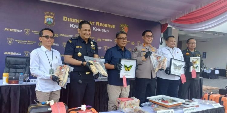 Polda Jatim Gagalkan Penyelundupan Satwa Dilindungi di Bandara Juanda