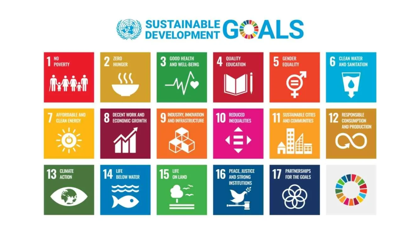 Apa itu SDGs