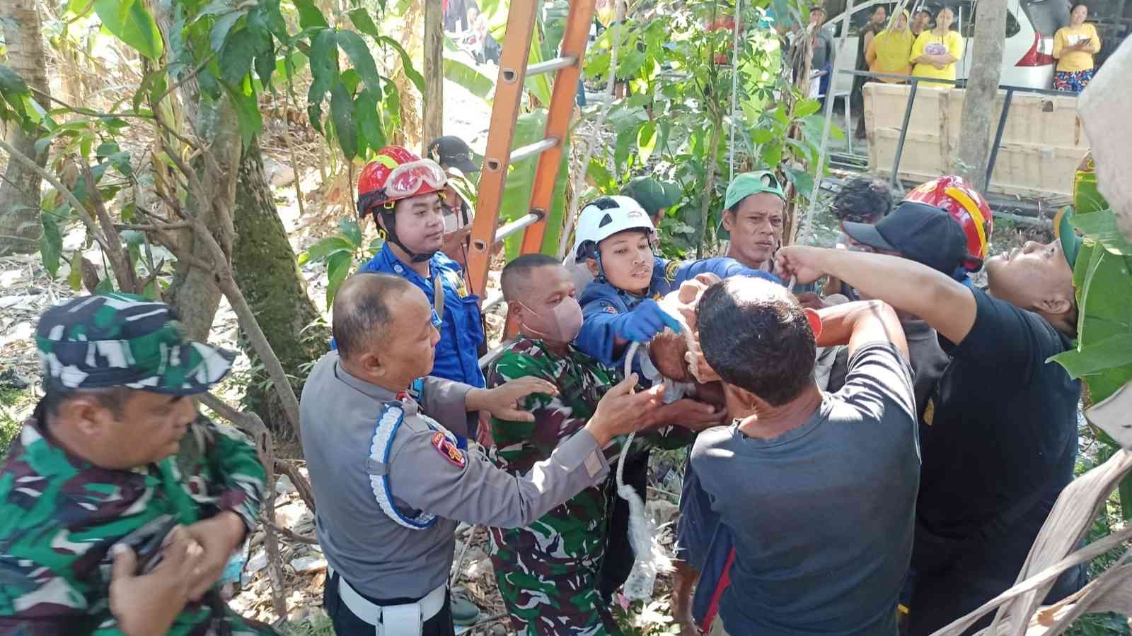 Buruh Tani di Bantul Tewas Tersengat Listrik Saat Mencari Pakan Ternak