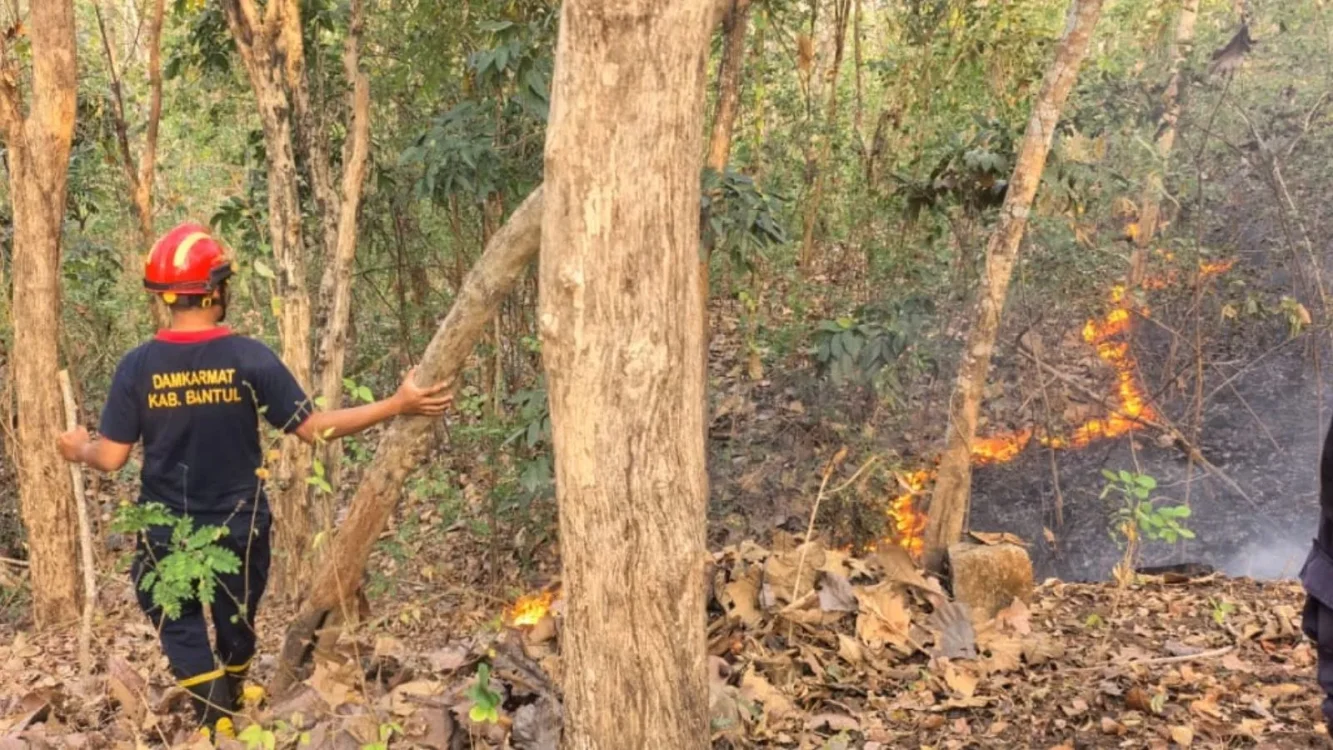 Kebakaran Lahan Hutan di Gunung Gedhe Imogiri Hanguskan 300 Meter Persegi Sultan Ground, Api Belum Padam Sepenuhnya