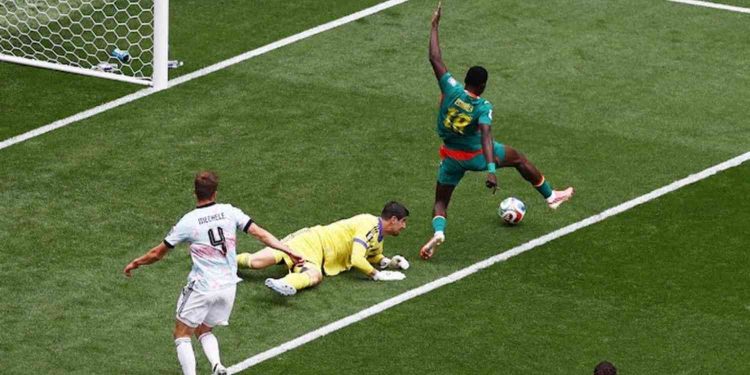 Siapa Habib Diarra Gelandang Sunderland yang Bawa Senegal Unggul atas Belgia