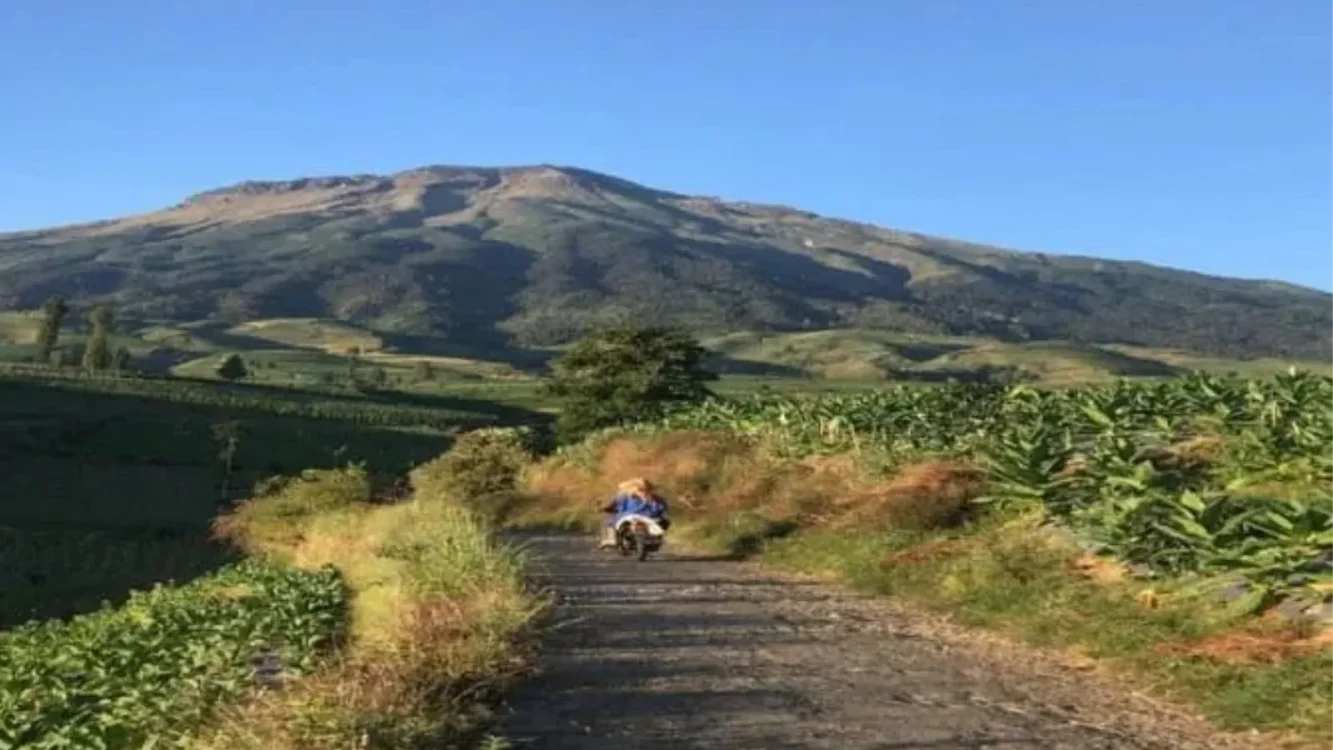 Wisata Glapansari Temanggung Belum Banyak Diketahui, Cocok untuk Menenangkan Pikiran