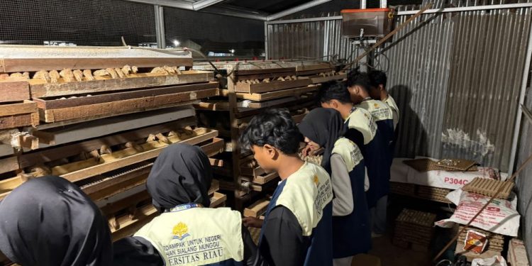 Mahasiswa Unri Belajar Ketahanan Pangan di Kandang Puyuh Pekanbaru