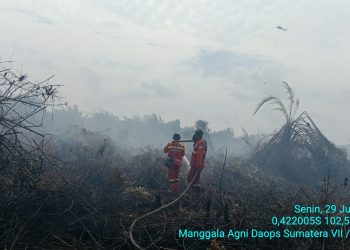 Kebakaran Hutan di Rengat Berhasil Dikendalikan, Masuki Tahap Pendinginan