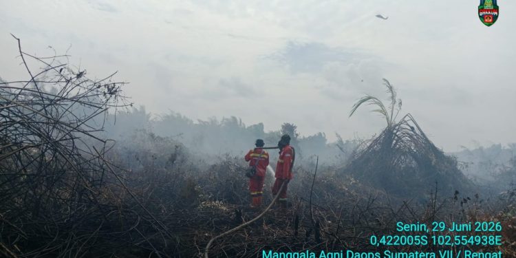 Kebakaran Hutan di Rengat Berhasil Dikendalikan, Masuki Tahap Pendinginan