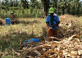 DPRD Gorontalo Prioritaskan Pembangunan Jembatan dan Alsintan