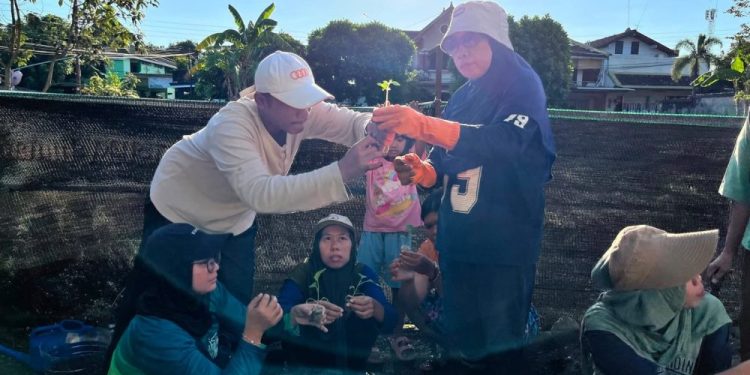 UGM dan PKK Sleman Ubah Limbah Rumah Tangga Jadi Pupuk Organik