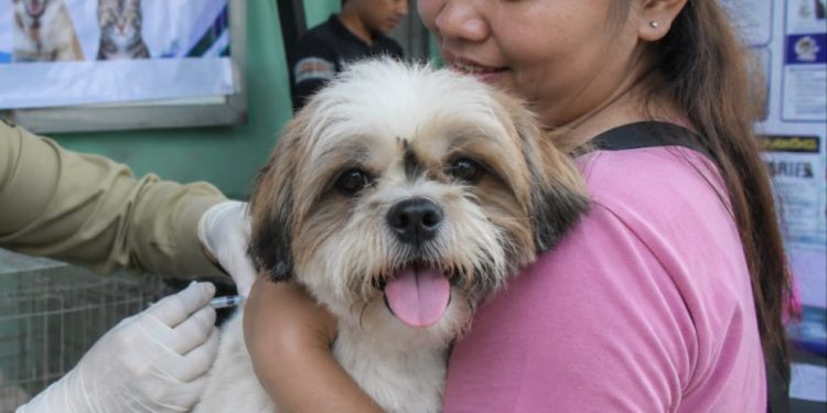 Pekanbaru Gelar Vaksinasi Rabies Gratis untuk Hewan Peliharaan