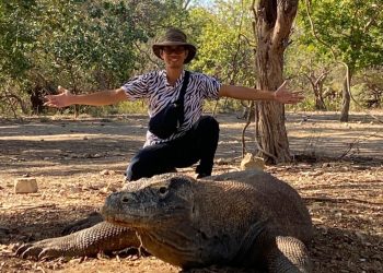 Peneliti UGM Temukan Parasit Kapsulotaenia sandgroundi pada Komodo