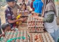 Pemkab Merauke Gelar Program Pangan Murah Atasi Surplus Telur