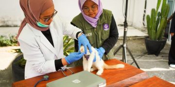 Plt Gubernur Riau Dorong Vaksinasi Hewan untuk Cegah Rabies