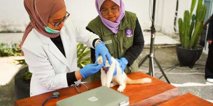 Plt Gubernur Riau Dorong Vaksinasi Hewan untuk Cegah Rabies