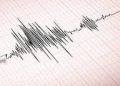 Gempa Magnitudo 3,6 Guncang Lombok Utara, NTB