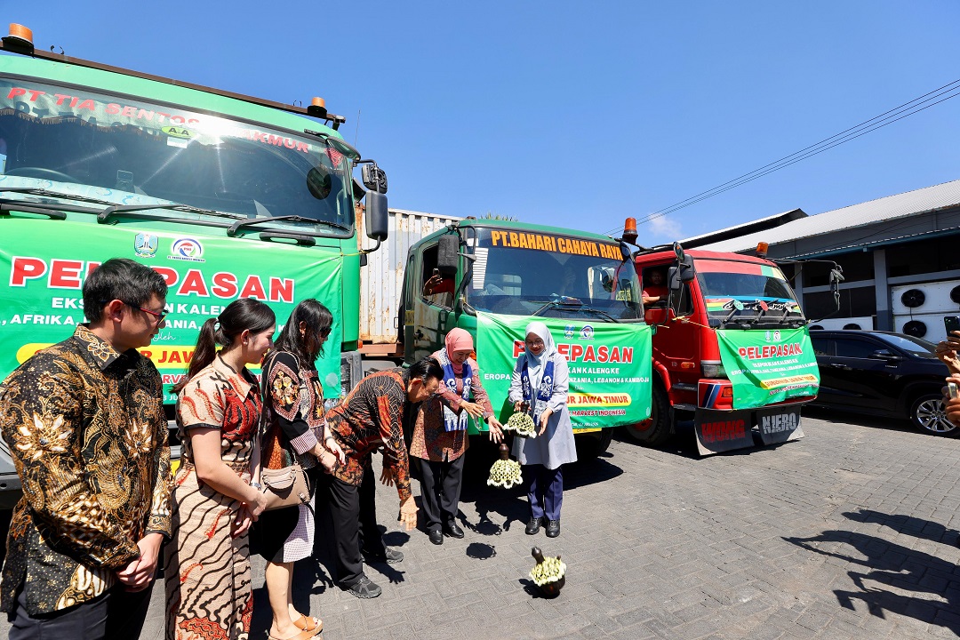 Ekspor Sarden Banyuwangi Tembus Pasar Global di Tengah Tantangan