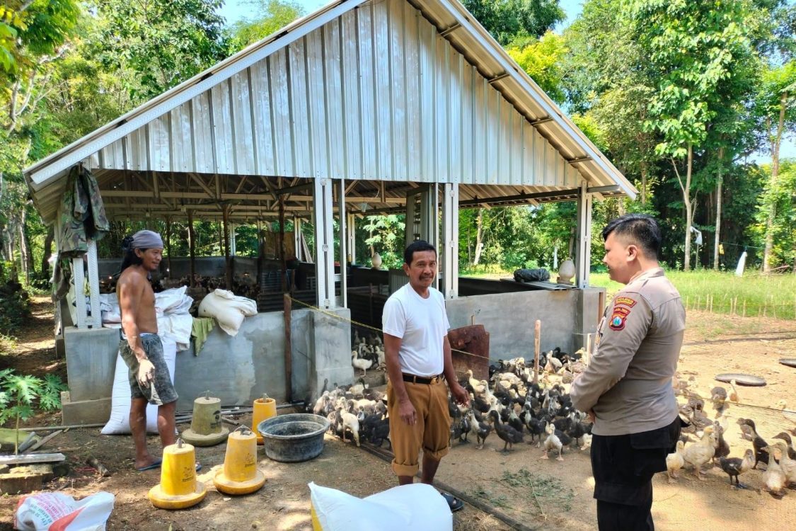 Polres Sumenep Dukung Peternak Lokal Tingkatkan Produktivitas