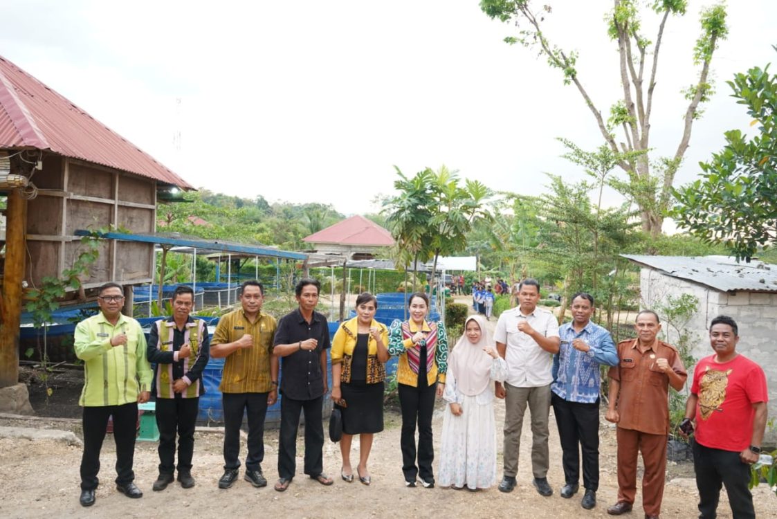 Bupati Sumba Barat Daya Tinjau Budidaya Lele untuk Ketahanan Pangan