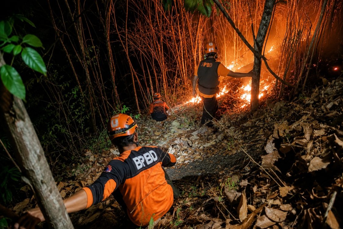 Respons Cepat Tim Gabungan Kendalikan Kebakaran Hutan di Pasirian