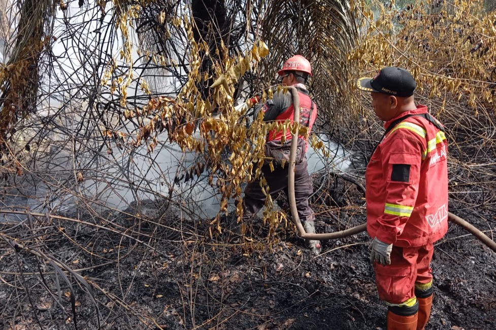 BPBD Pekanbaru Siagakan 90 Personel untuk Cegah Kebakaran Lahan