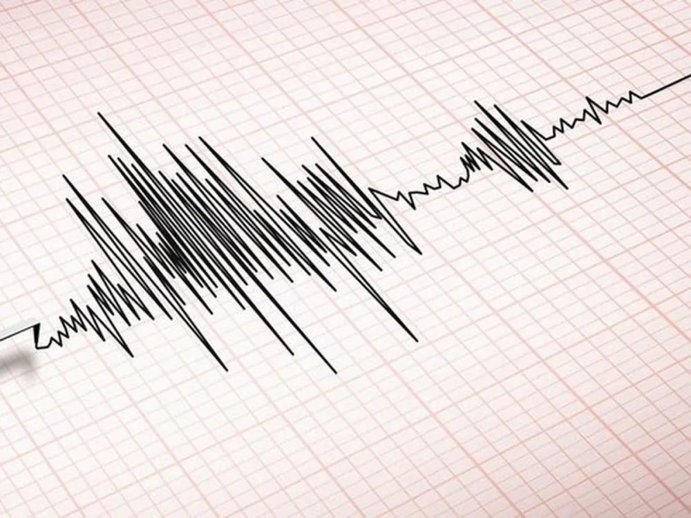 Gempa Magnitudo 3.0 Guncang Tambrauw, Papua Barat
