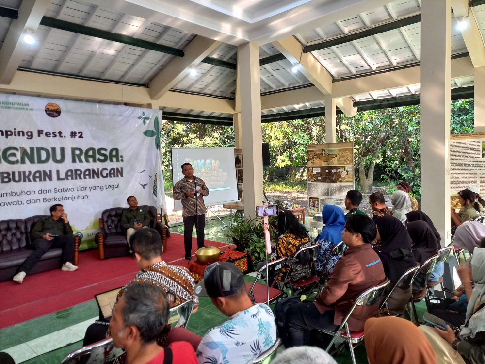 Batu Gamping Festival #2: Sinergi Wisata Konservasi dan Tradisi Bekakak di Sleman