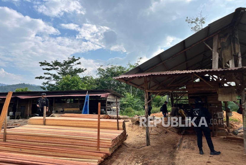 Polda Riau Tingkatkan Penindakan terhadap Illegal Logging untuk Lindungi Hutan