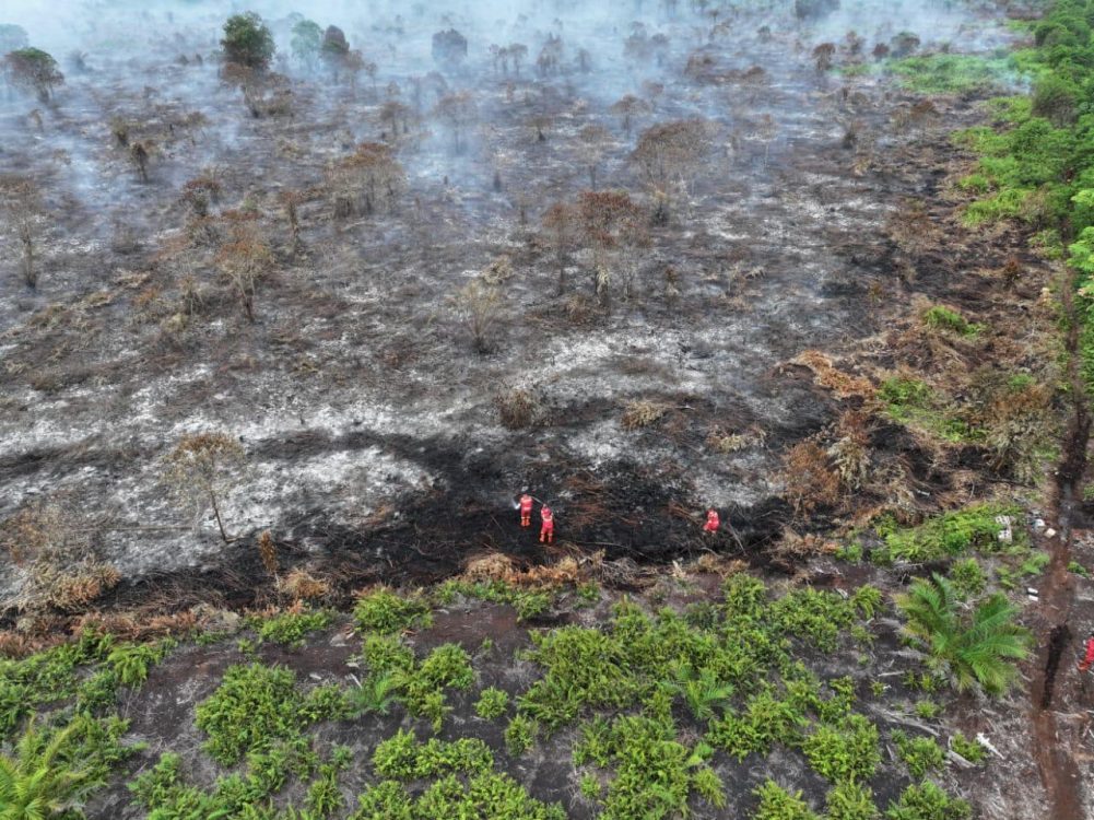 Kebakaran Hutan di Bengkalis Berlanjut, Kapolres Tegaskan Bahaya Pembukaan Lahan dengan Pembakaran